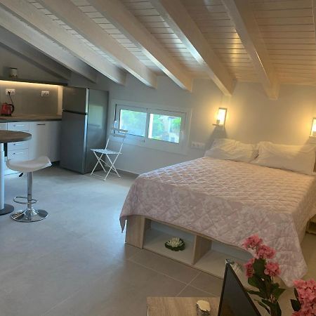 Terpsichore Boutique Bright New Sofita Studios And Appartment 达西亚 外观 照片