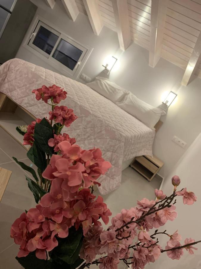 Terpsichore Boutique Bright New Sofita Studios And Appartment 达西亚 外观 照片