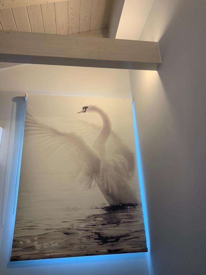 Terpsichore Boutique Bright New Sofita Studios And Appartment 达西亚 外观 照片