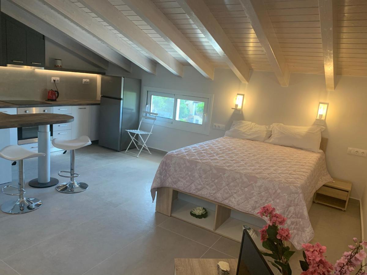 Terpsichore Boutique Bright New Sofita Studios And Appartment 达西亚 外观 照片